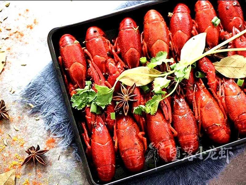 微信图片_20190507155736_副本.jpg