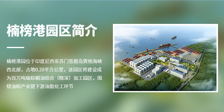 轮播图3